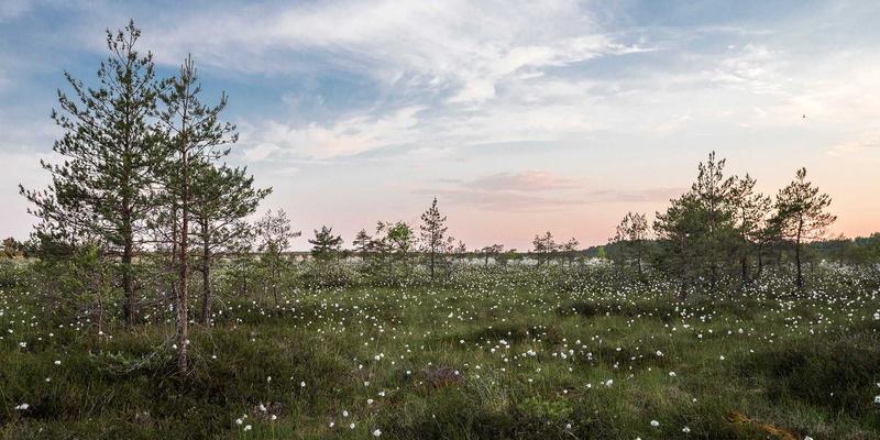 成都儿童眼科专家详解：如何科学区分真假性近视？散瞳验光为何是关键