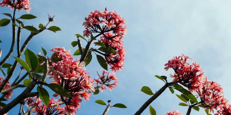 成都得成眼科专家详解：青光眼早期筛查先进设备与个性化治疗方案制定