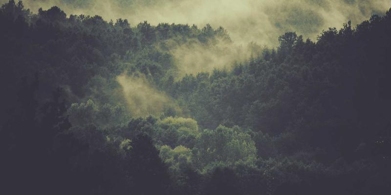 成都眼科39：专业诊疗守护光明，深度解析青光眼防治与得成眼科特色