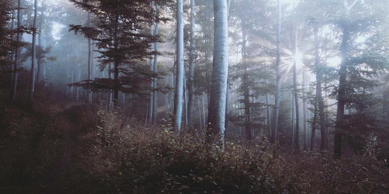 成都眼科专家深度解析：病理性近视与单纯性高度近视的本质区别及并发症管理