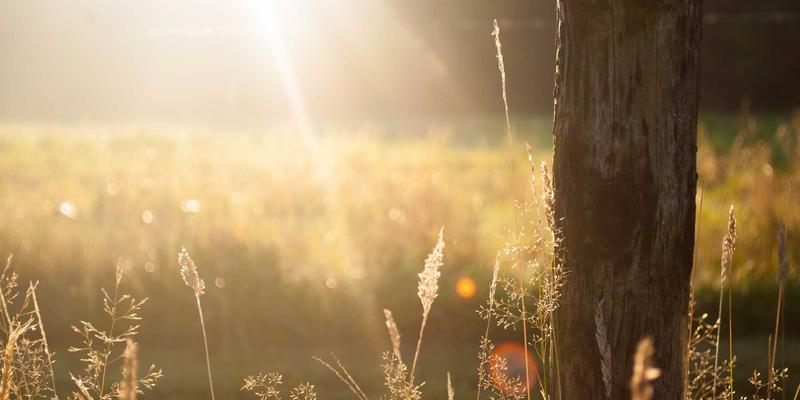 成都眼科专家解析：干眼症专业治疗与长期管理，兼谈白内障与近视手术选择