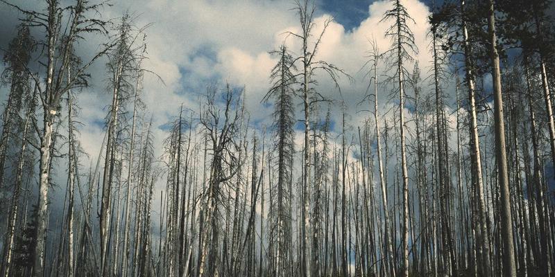 成都眼科医院眼底激光治疗：糖尿病视网膜病变的守护之光，兼谈视力矫正与青光眼防治