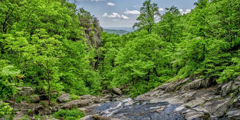 成都眼科医院详解：年龄相关性黄斑变性（AMD）的抗VEGF治疗与长期预后