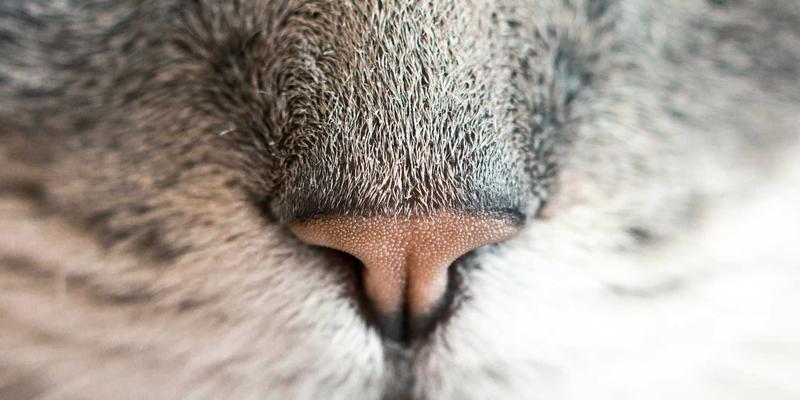 成都眼科疾病诊疗与近视手术全解析：守护清晰视界的专业选择