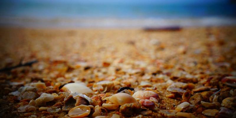 成都眼科进阶指南：从近视手术到青光眼防治，得成眼科专家解读现代眼健康管理